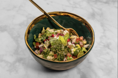 V-Salad-